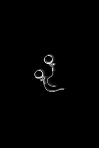 Boucles d'oreilles - Dormeuses + Breloques Plaqué Or SONAGI
